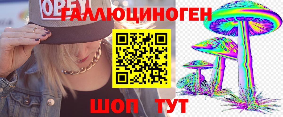 Псилоцибиновые грибы MAGIC MUSHROOMS  даркнет сайт  Новосибирск  Псилоцибиновые грибы мицелий  Вход с VPN 