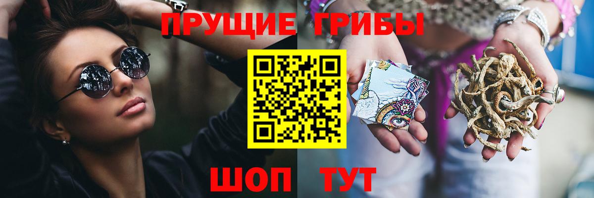 Галлюциногенные грибы GOLDEN TEACHER Новосибирск
